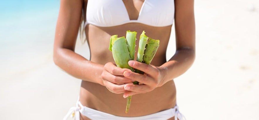 shop aloe vera [VEGAN BEAUTY] Mild & Moisture Aloe Vera Watery Gel (Tube)