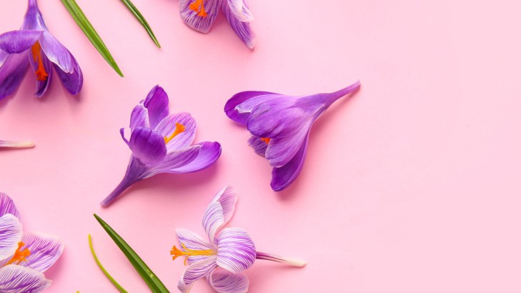 Le safran peut-il présenter un danger ?