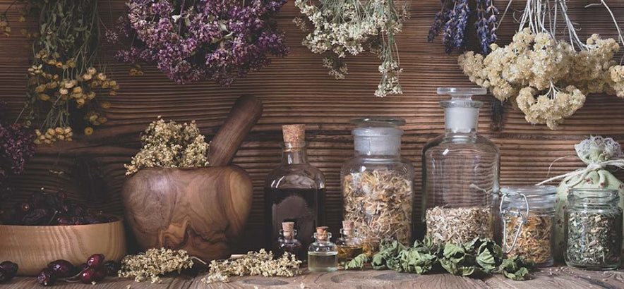 Les grands principes de la naturopathie