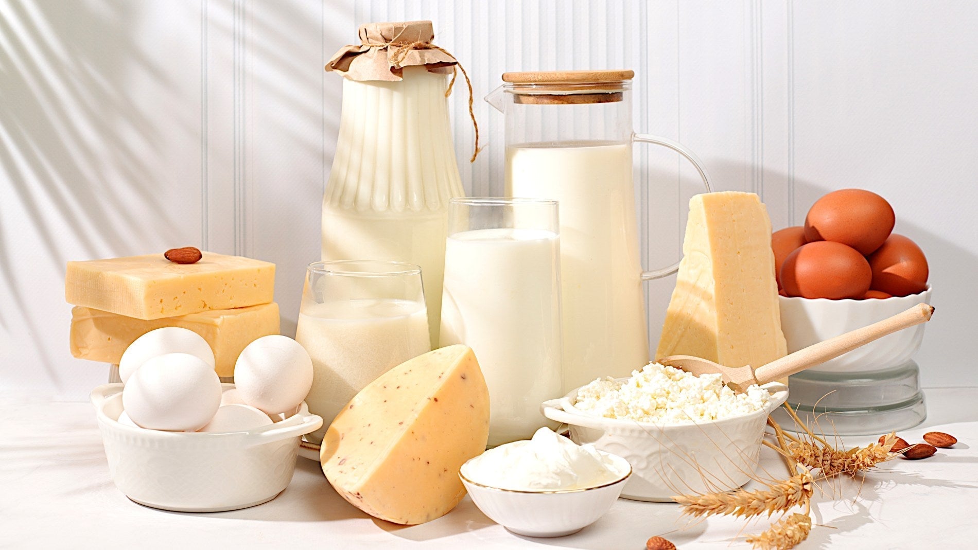 Intestin irritable et rôle des probiotiques