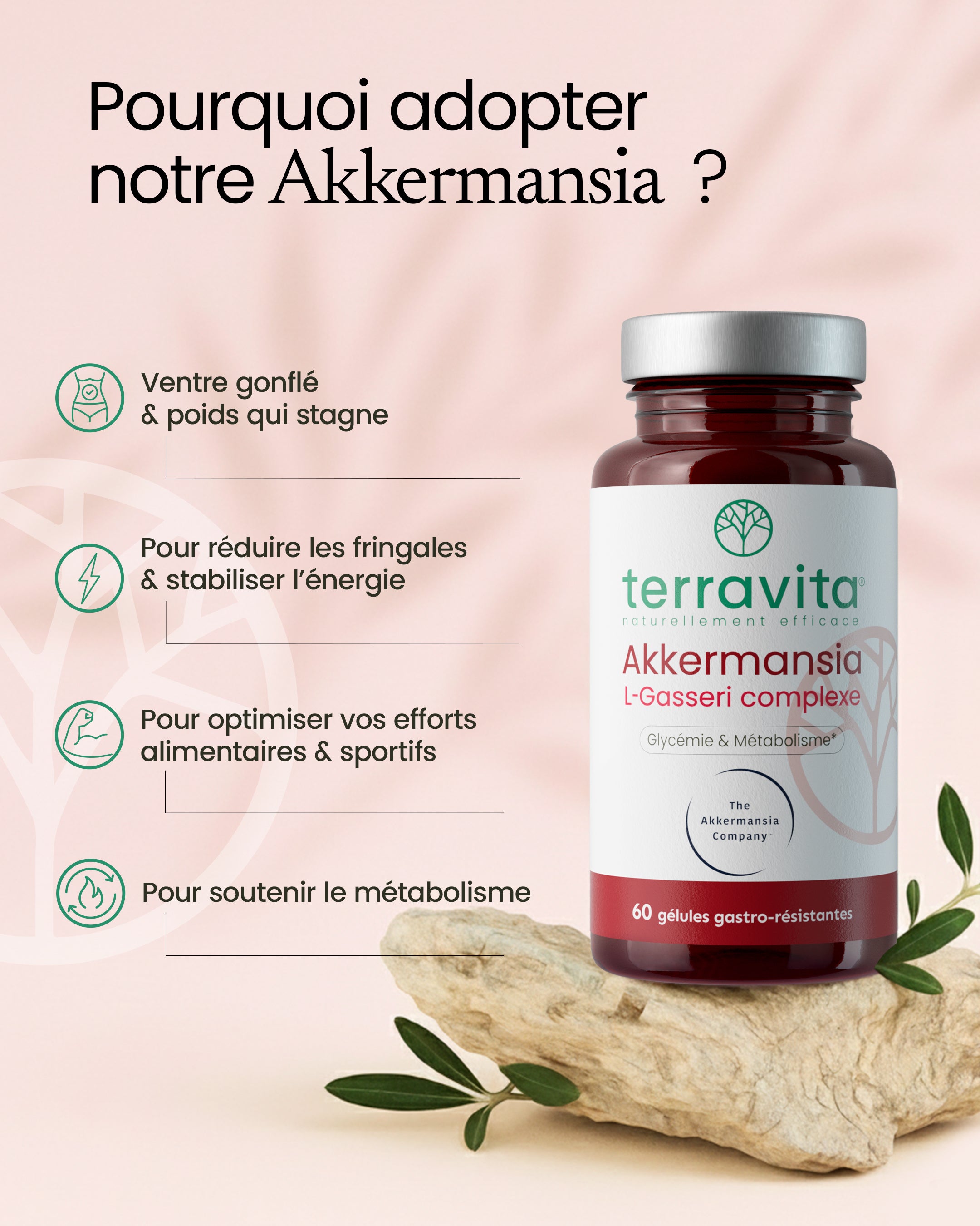 Bienfaits de l'akkermansia