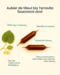 Aubier de Tilleul Bio