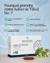 Aubier de Tilleul Bio