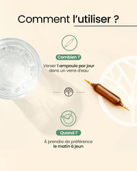 Aubier de Tilleul Bio