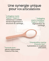 Collagène articulations