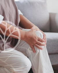 Glucosamine Chondroïtine