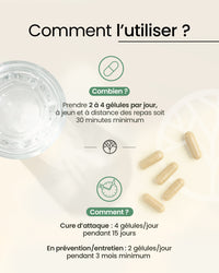 Probiotiques flore intime