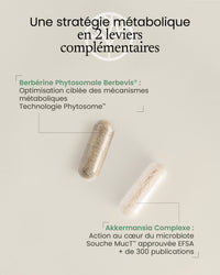 Programme Rééquilibrage métabolique