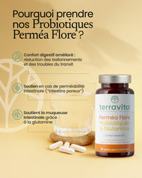 Perméa flore probiotiques & glutamine