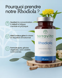 Bienfaits de la rhodiola