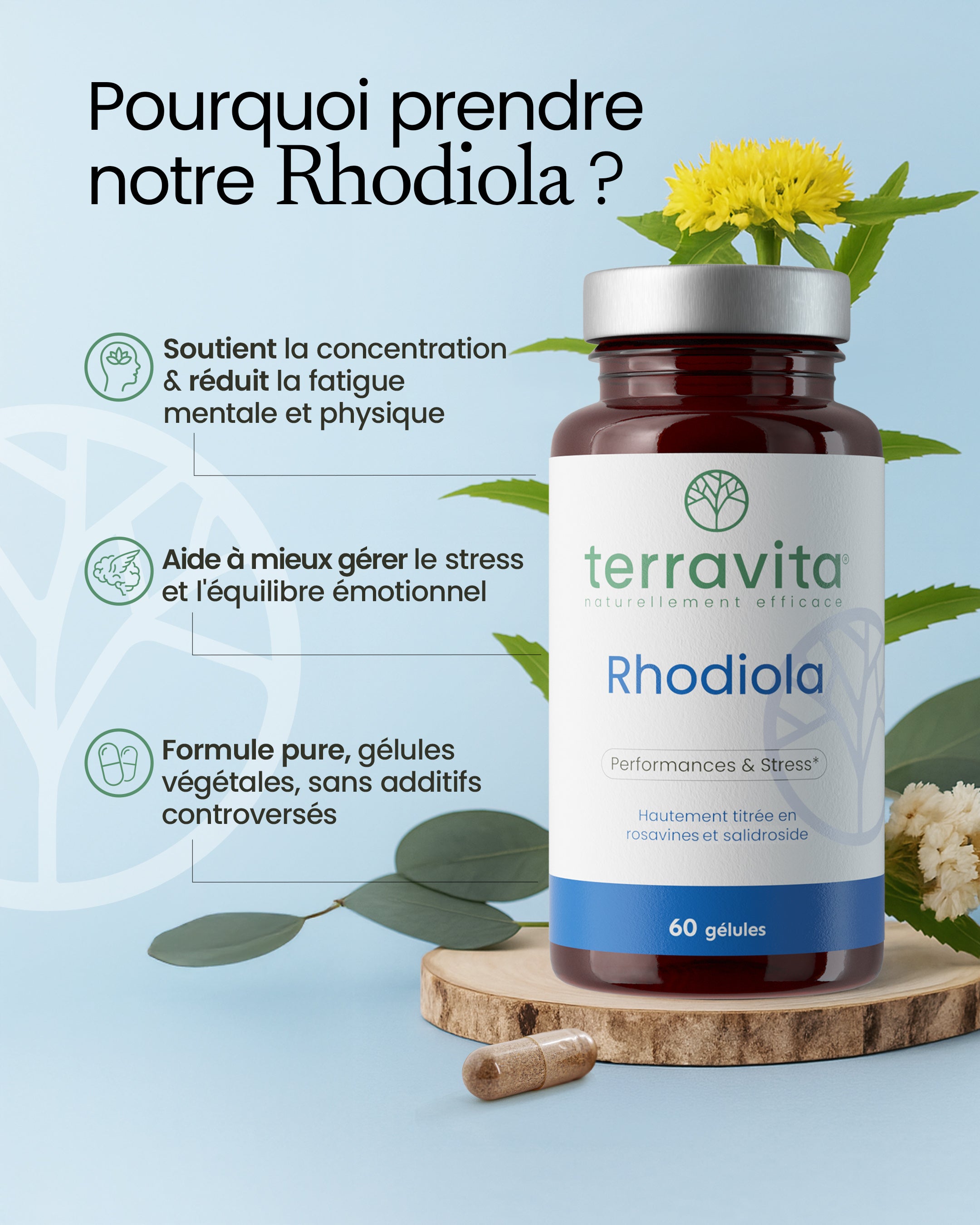 Bienfaits de la rhodiola