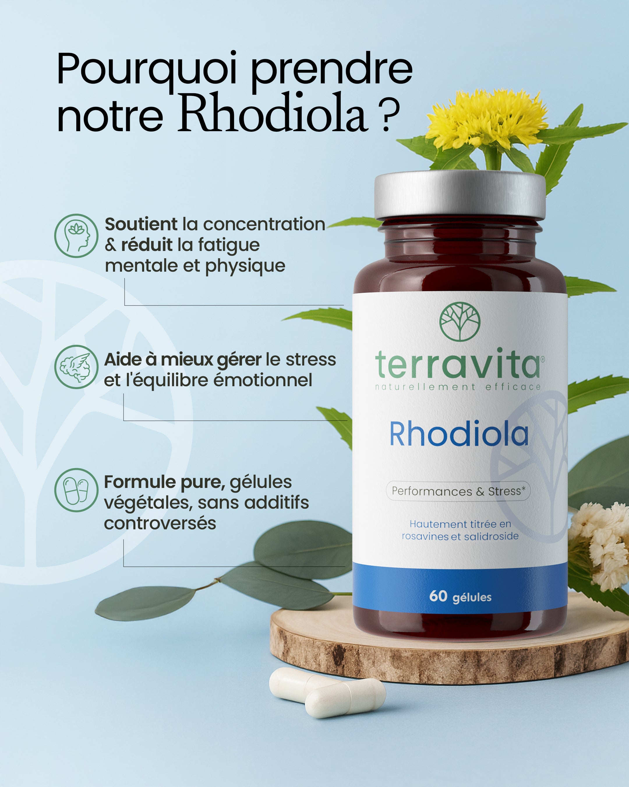 Bienfaits de la rhodiola