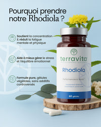 Bienfaits de la rhodiola