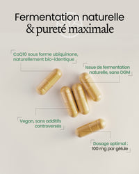 Propriétés du coenzyme Q10