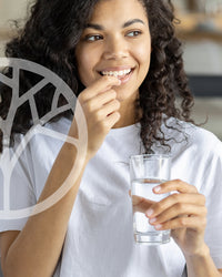 Charbon végétal activé bio