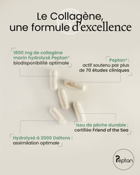 Collagène marin Peptan