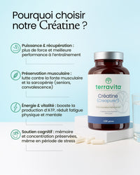 Créatine