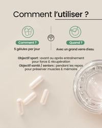 Posologie de la créatine