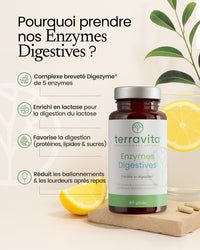 Enzymes digestives