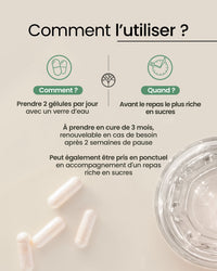 Glycémie & Satiété