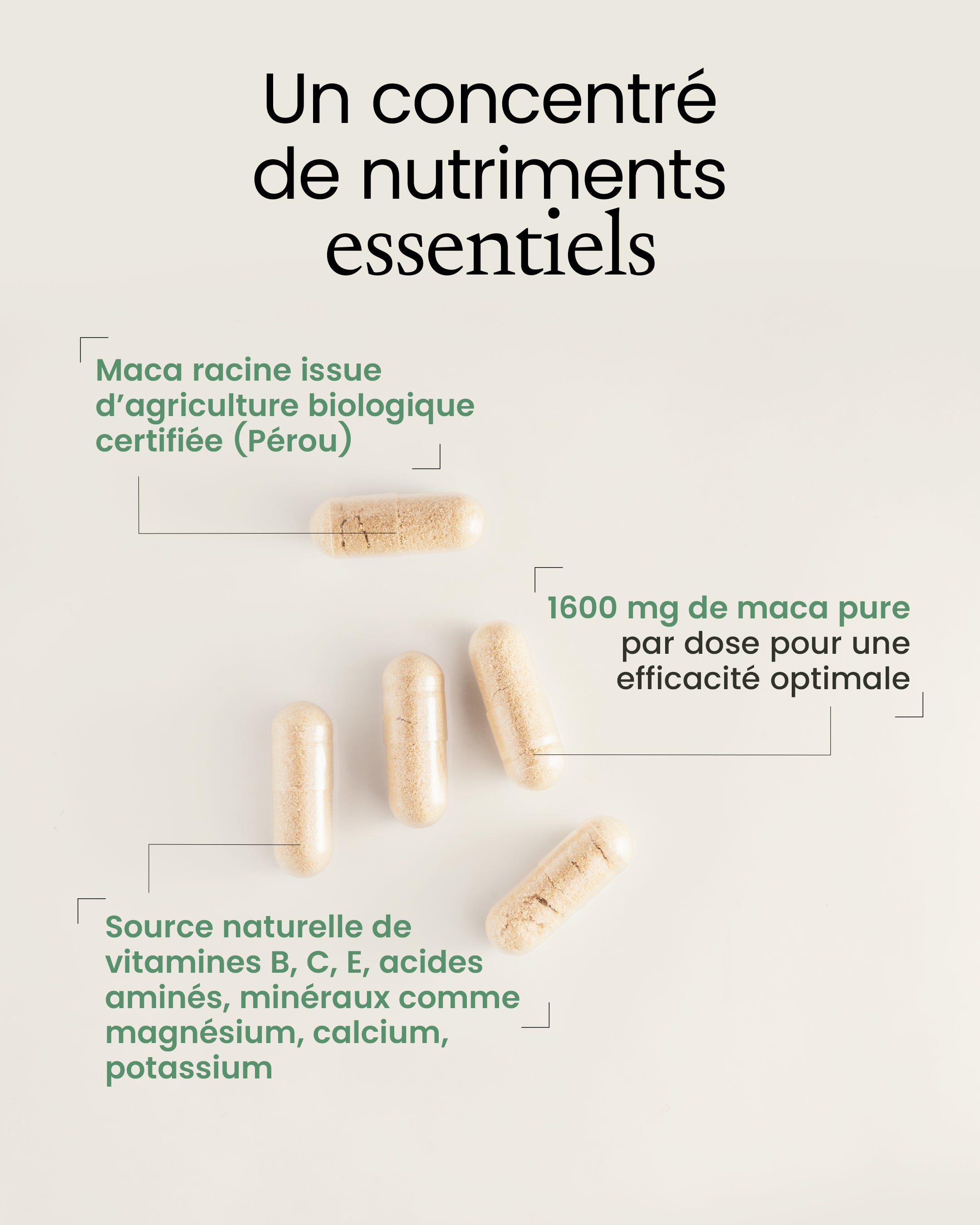 Maca bio