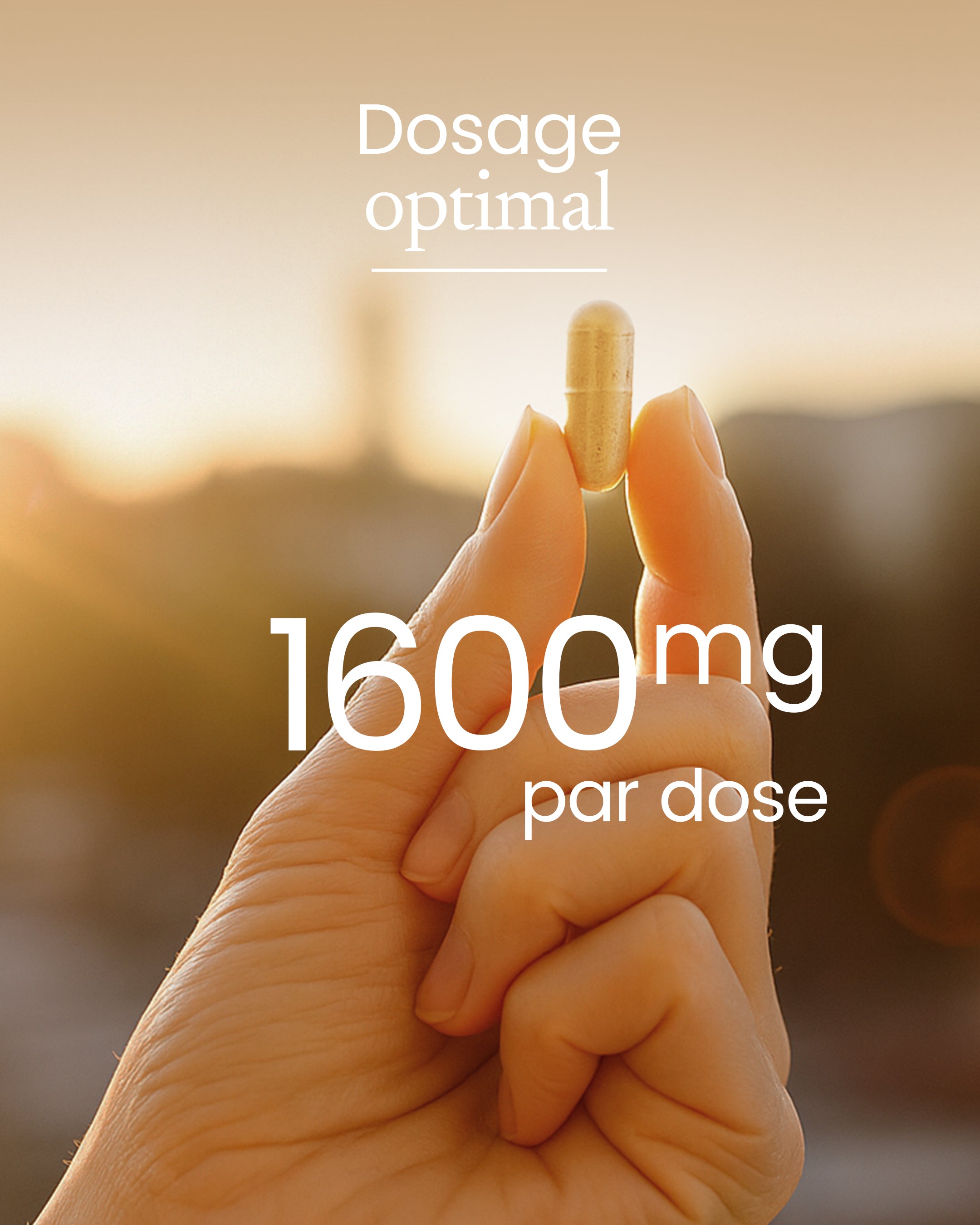 Maca bio