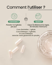 Posologie des probiotiques glutamine