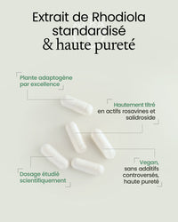 Propriétés de la rhodiola