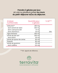 Composition du Complexe Cellulite