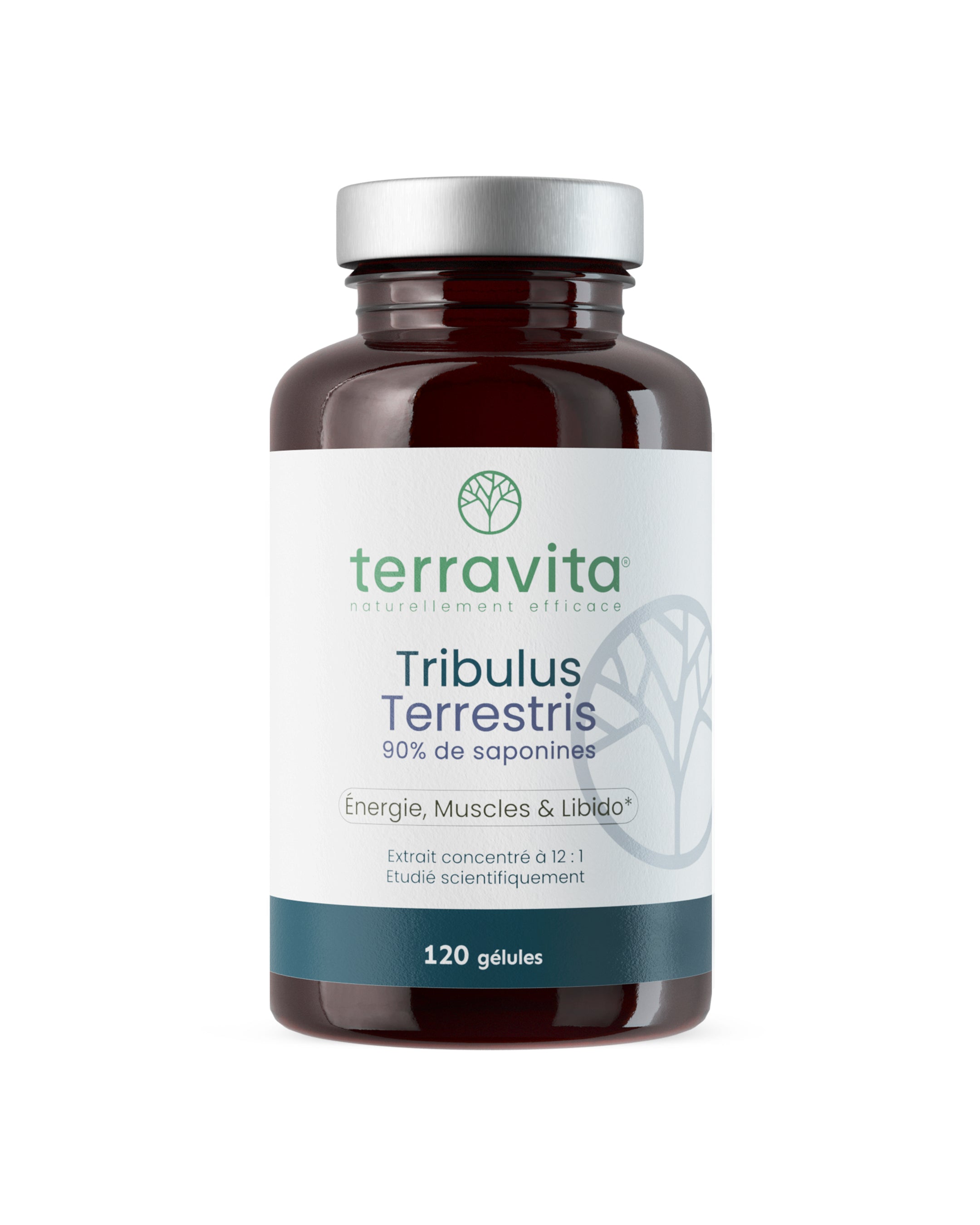 Tribulus terrestris en gélule