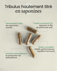 Gélules de tribulus