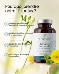 Bienfaits du tribulus