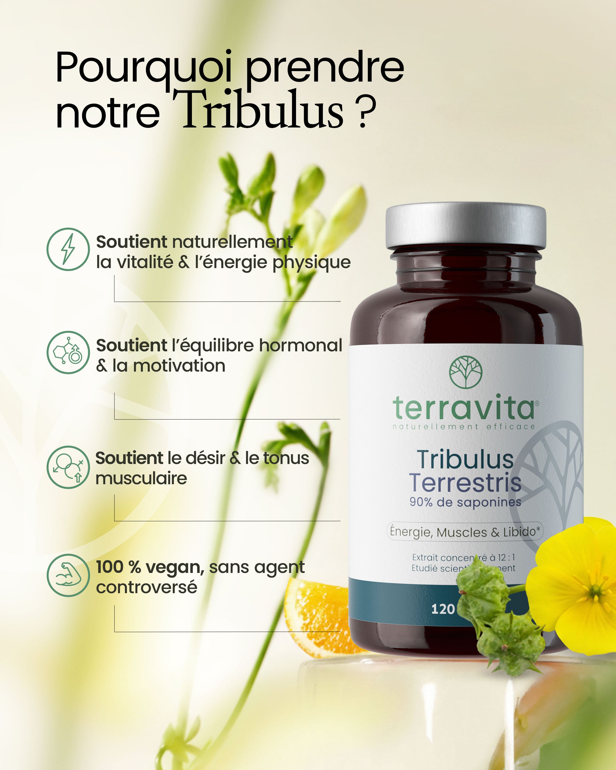 Bienfaits du tribulus