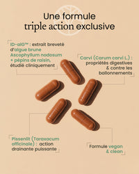 Gélules pour déstocker la graisse abdominale et limiter les gaz