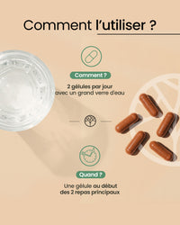 Posologie des gélules ventre plat