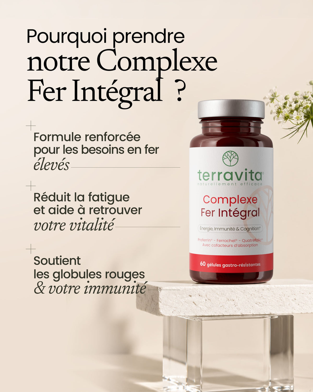 Bienfaits du fer