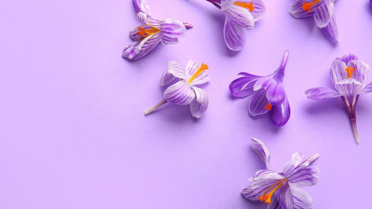 Cure de safran : des effets au bout de combien de temps ?