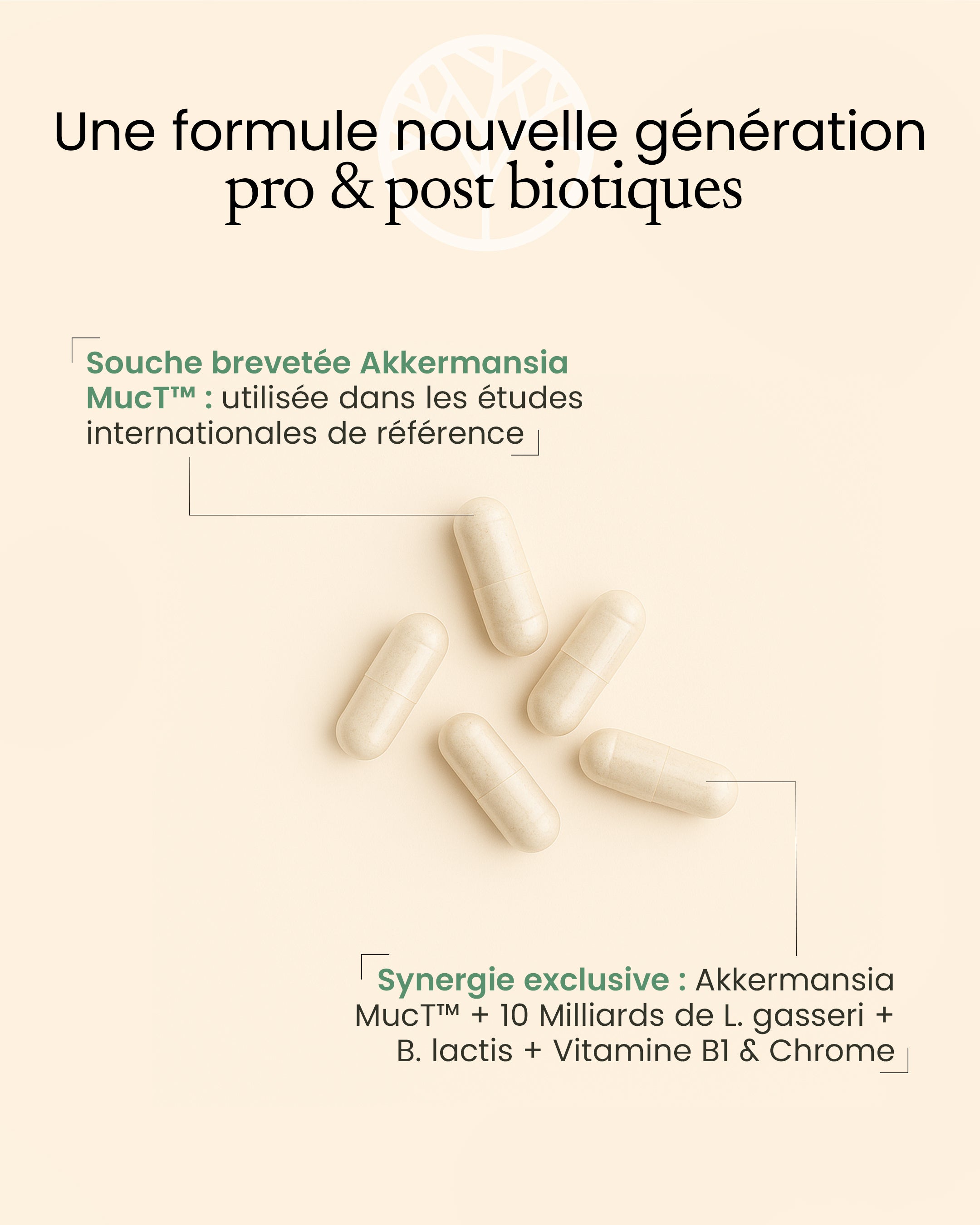 Gélules d'akkermansia