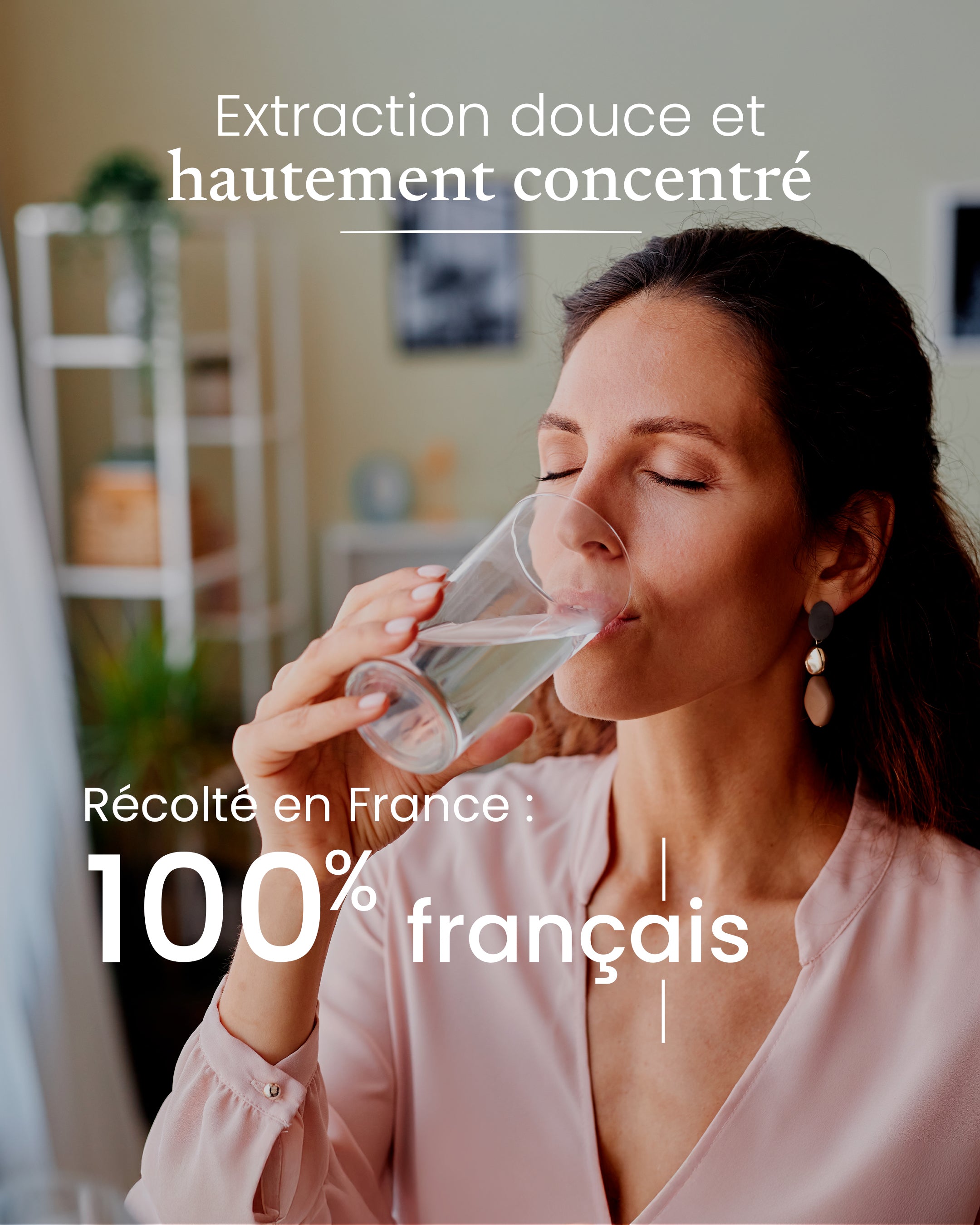 Aubier de Tilleul Bio