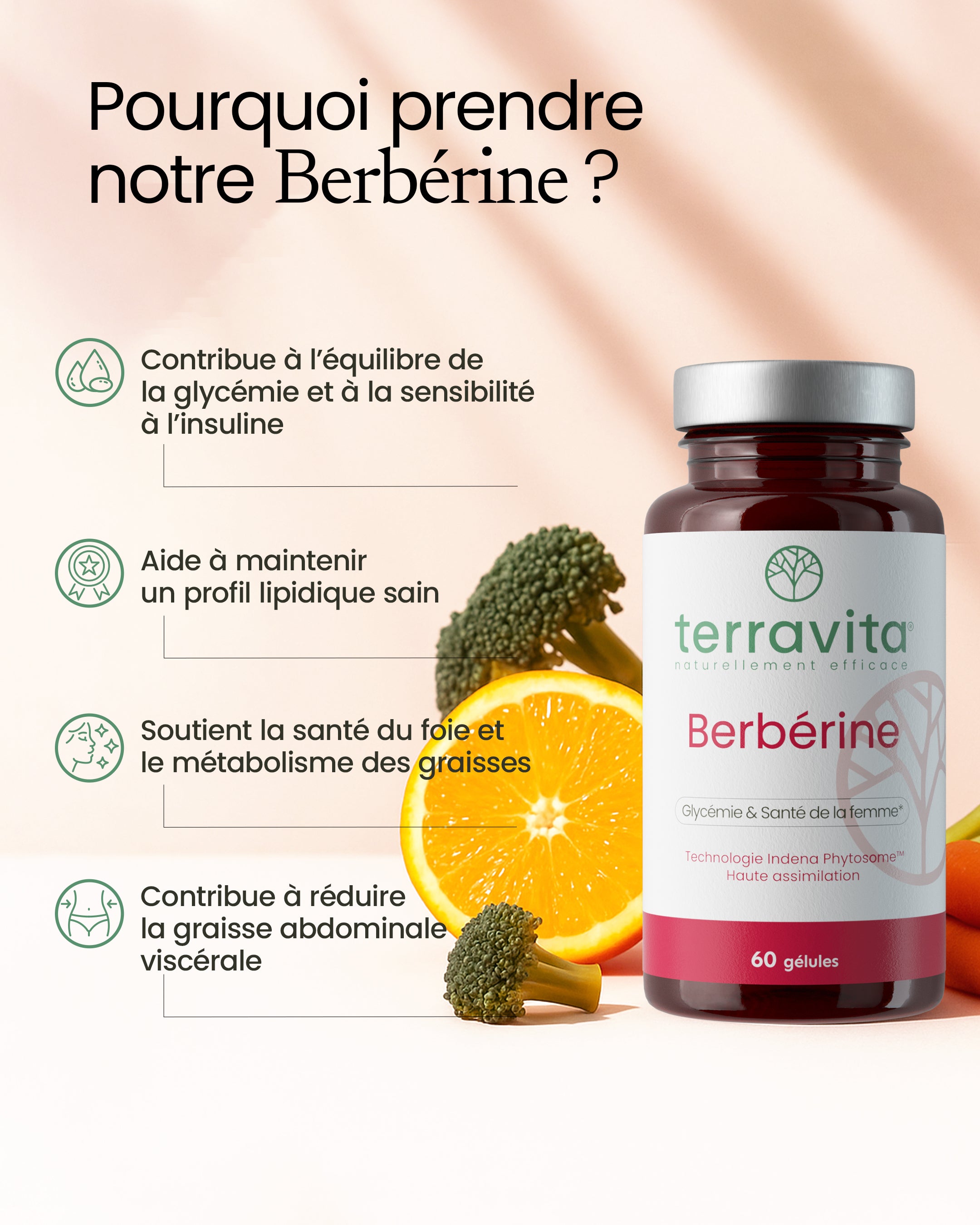 Berbérine phytosomale