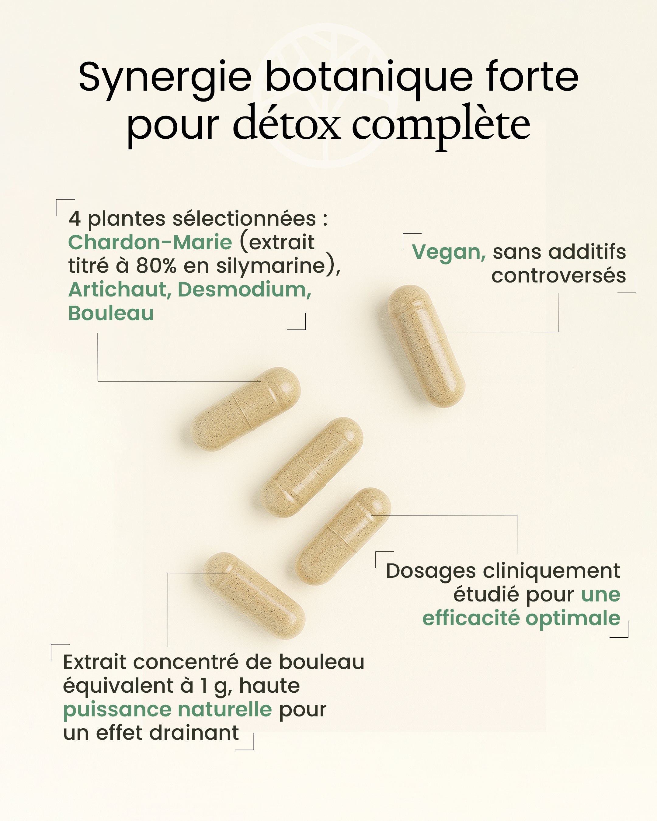 Gélules pour la détoxification