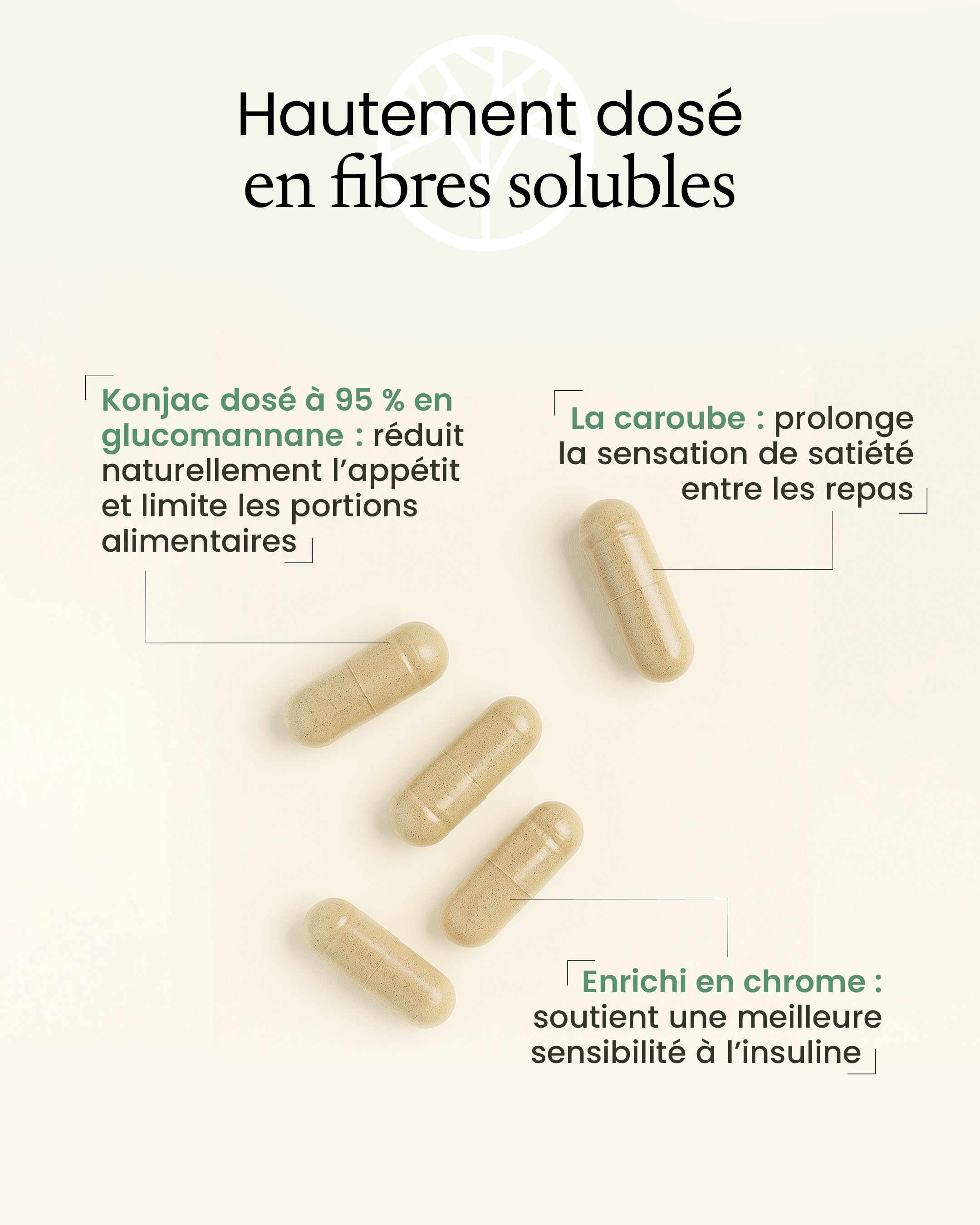 Gélules Coupe faim