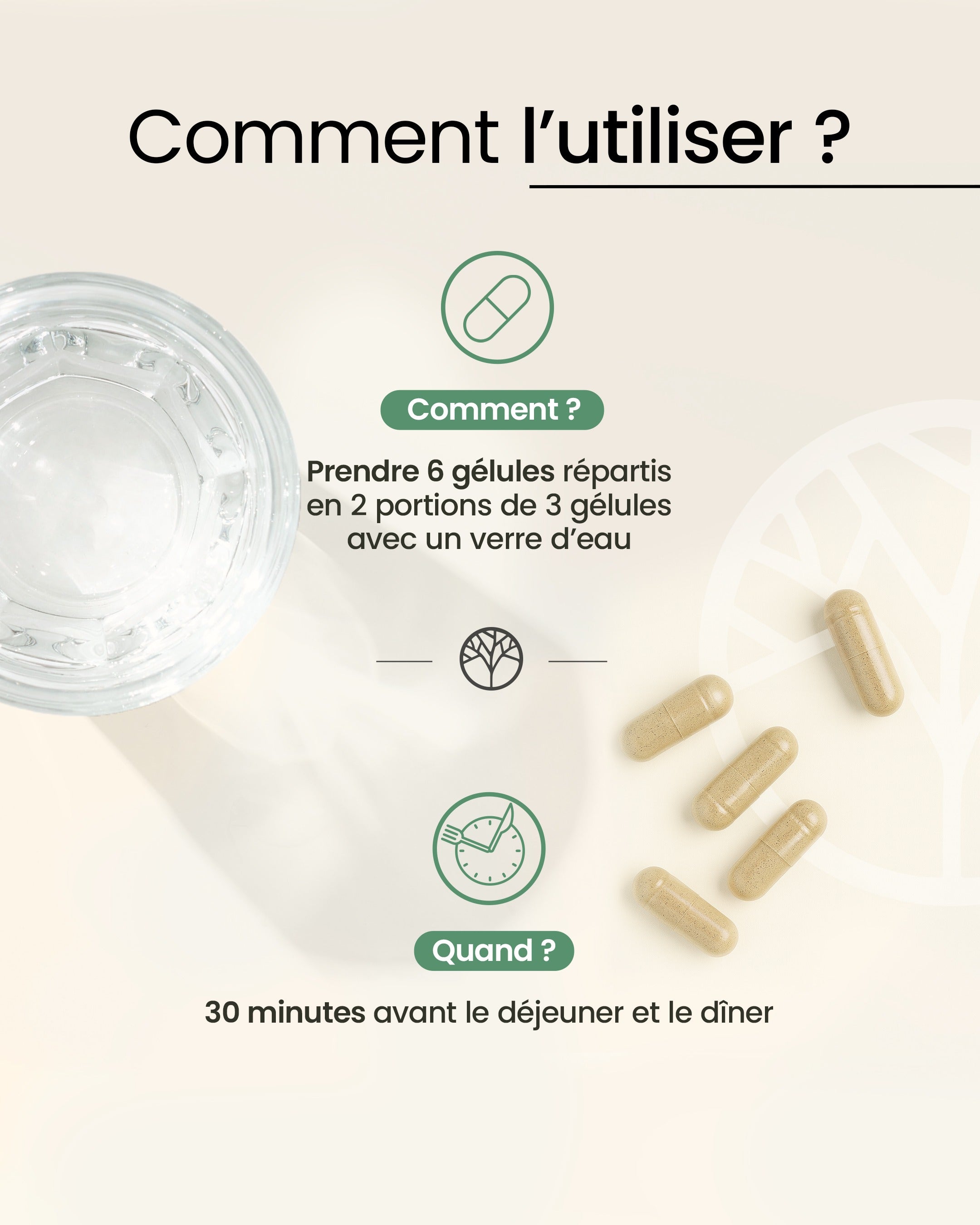 Posologie du Coupe faim