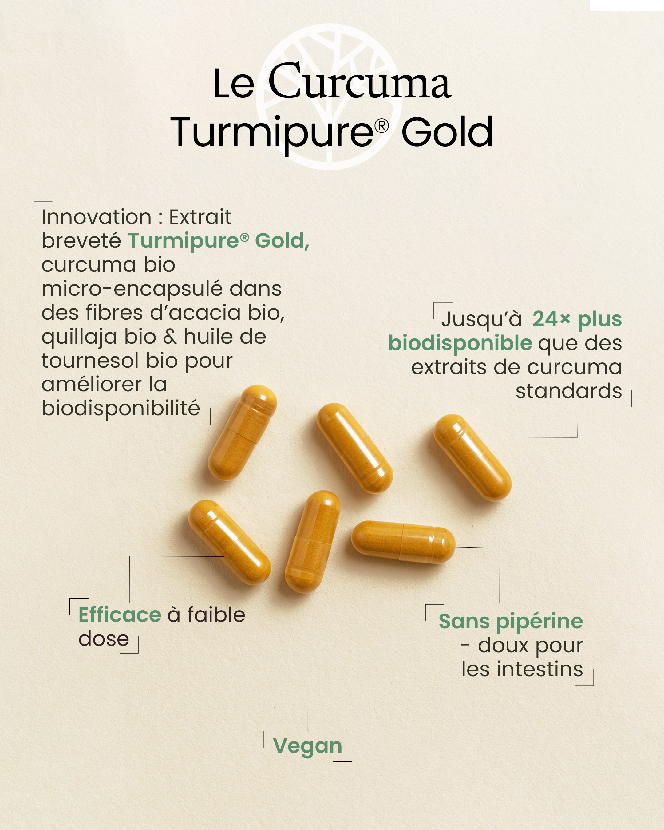 Curcuma premium bio