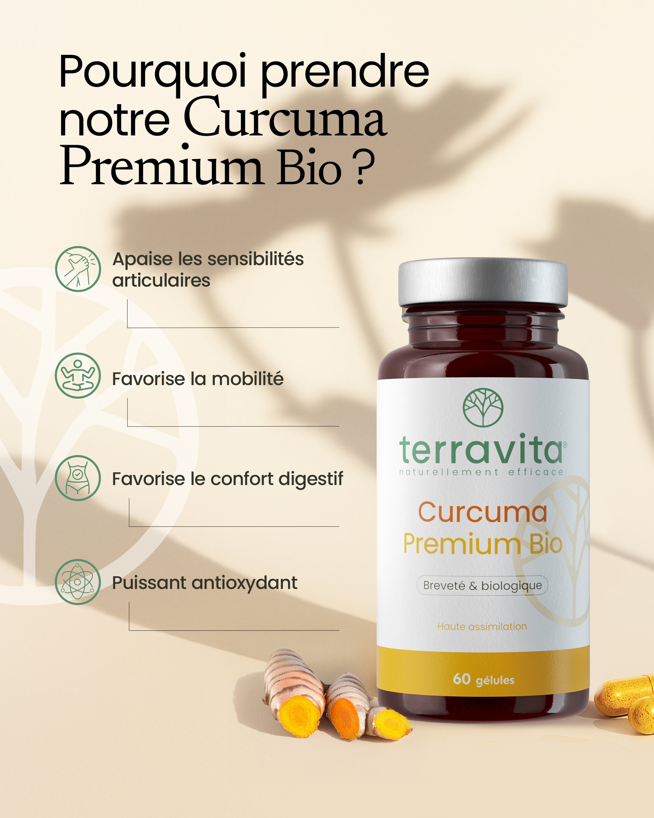 Curcuma premium bio