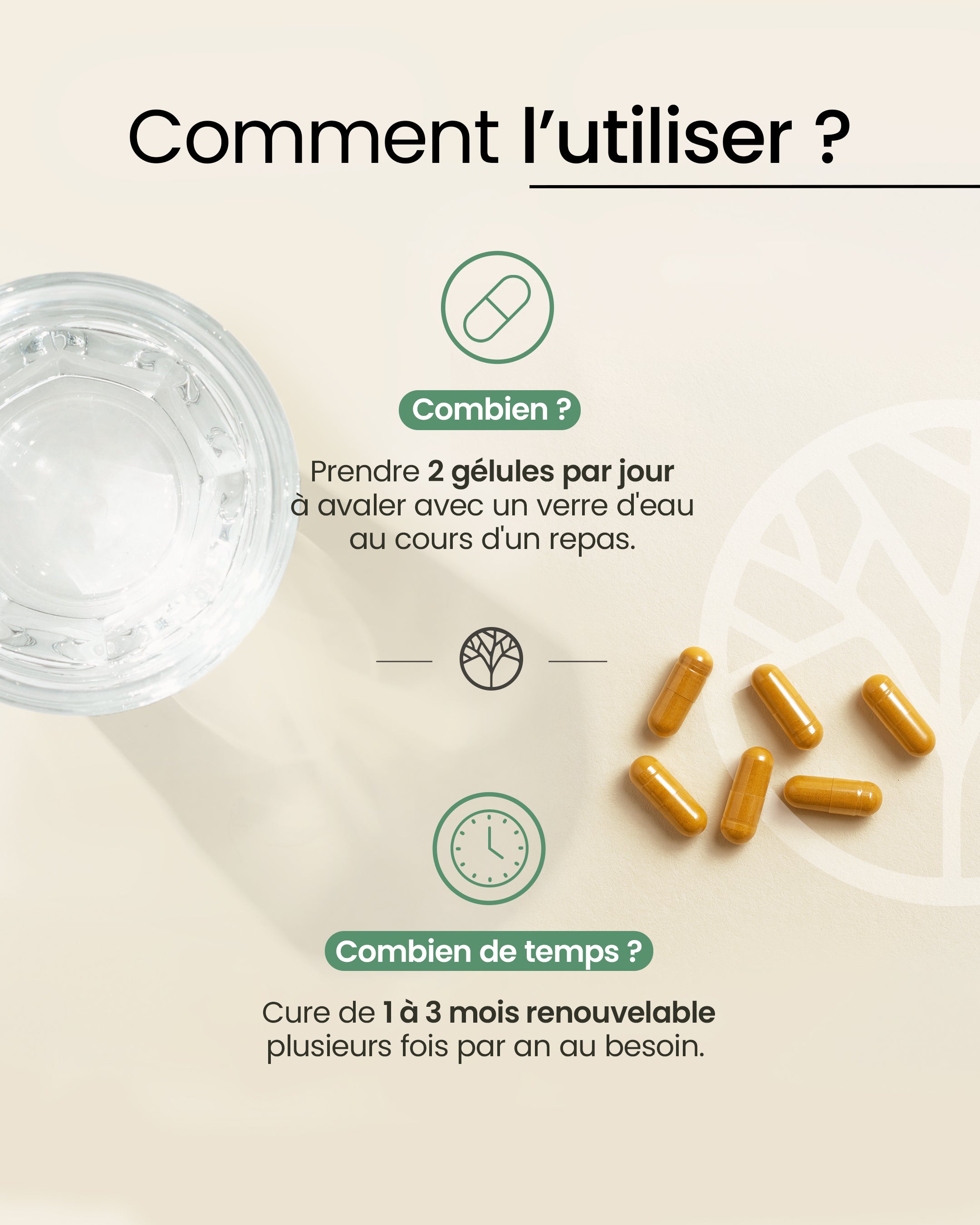 Curcuma premium bio