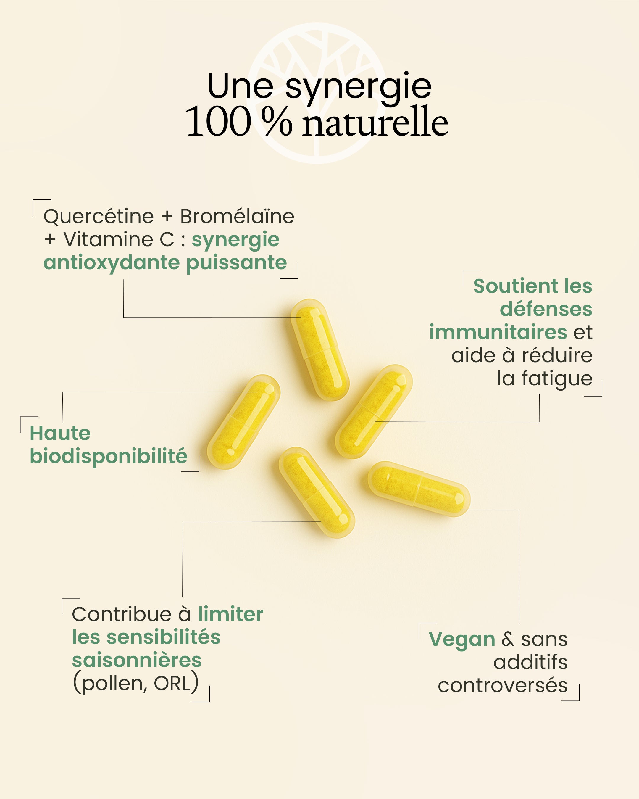 Complexe quercétine