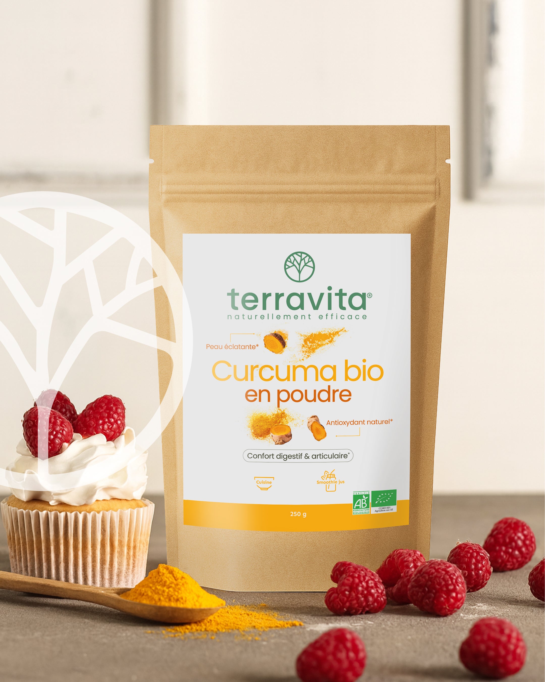 Curcuma Bio en poudre