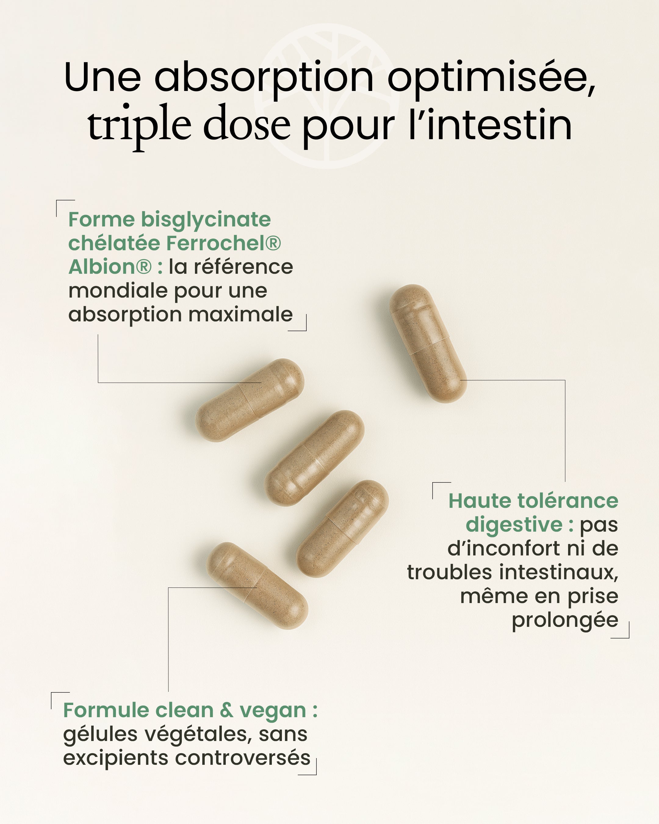 Fer Bisglycinate en gélule Energie & Immunité, Avis — free download