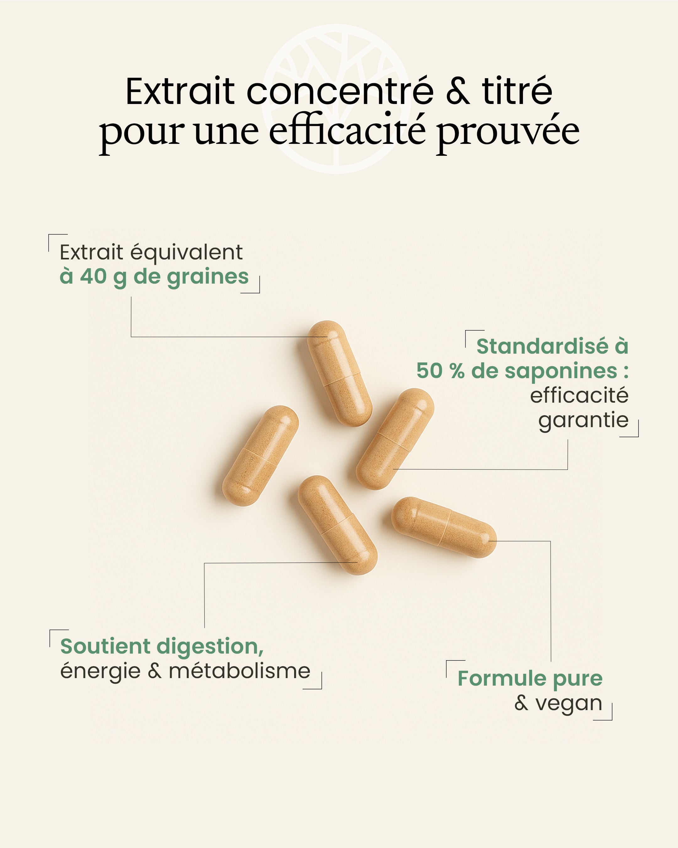 Gélules de fenugrec